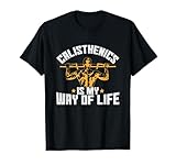 calisthenics street workout fitness street train