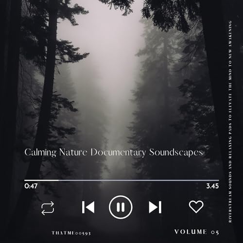 Dreamy Dances of the Stream - Discovery and Revolution