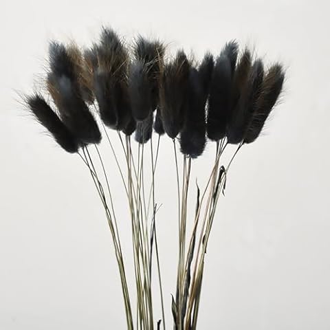 MIAOLLUN 60 PCS Dried Pampas Grass Decor, Pompas Floral Dry Flowers for Farmhouse Flower Arrangements Wedding Home Boho Party Decorations,Deep Gray Cover