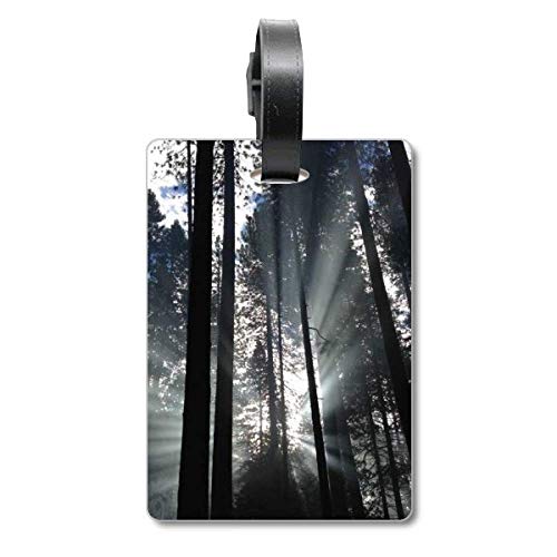Étiquette valise motif soleil Forestry pour identification bagage voyage