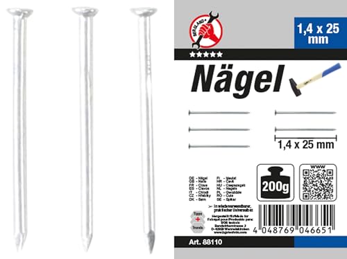BGS Diy 88110 | Nägel-Sortiment | 200 g | 1,4 x 25 mm