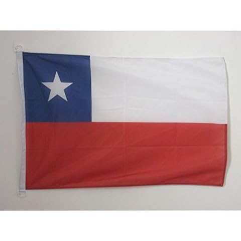 AZ FLAG Bandera Nautica de Chile 45x30cm con Anillos Cover