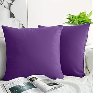 Throw Pillow Covers Velvet Decorative 2 Packs Ultra-Soft Purple Pillowcase 18 x 18 Inch for Couch,Chair,Sofa,Bedroom,Car,Square Solid Color
