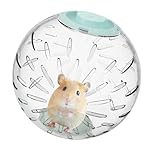 Premium Clear Plastic Hamster Exercise Ball, Transparent Rolling Pet Activity Sphere with Ventilation Slots