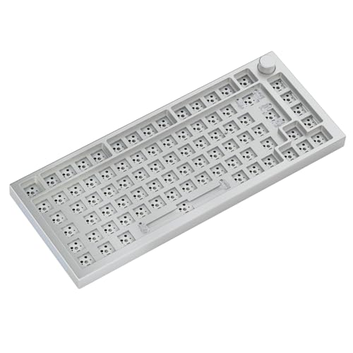 キーボード Glorious GMMK PRO 75% White ice 41oYH2Hdx5L.jpg