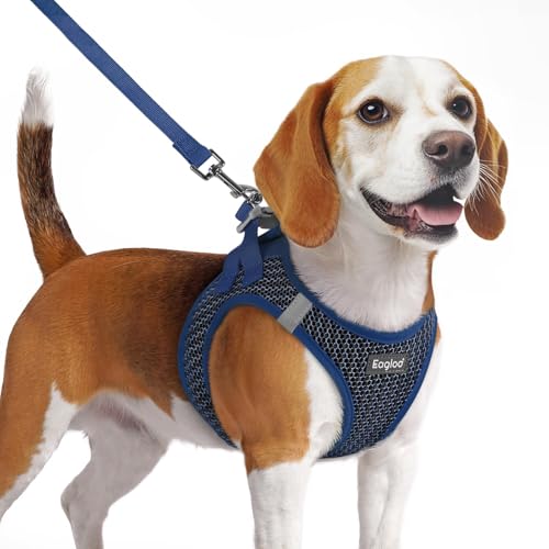 Eagloo Dog Harness Small Breed and Leash Set, Step in Medium Puppy Pet Vest by Eagloo - Used condition - CA$22.19