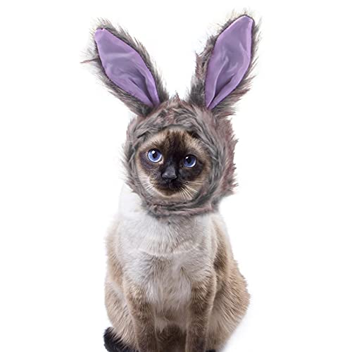 Seis Halloween Bunny Ear Cat Hat Funny Pet Cap Cute Rabbit Dog Headwear Easter Plush Costume For Cats Small Dogs (Gray) #TOP26