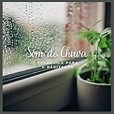  Som de Chuva Tranquila para a Meditação, Pt. 40