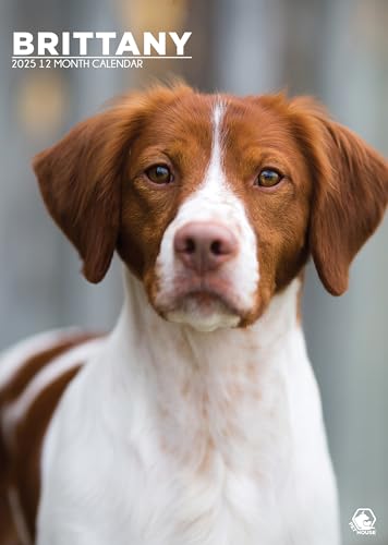 Brittany 2025 - Calendario con espiral tamaño A3