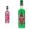 Buy Antica Raspberry for a Refreshing and Delightful Experience – Antica Sambuca