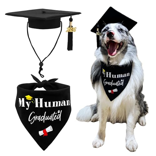 Set Graduación para Perros Large con Gorro y Bandana