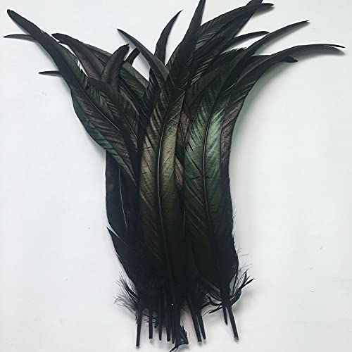 Sowder Black Rooster Coque Tail Feathers 13-16Inch Lengh Pack Of 50 #TOP2