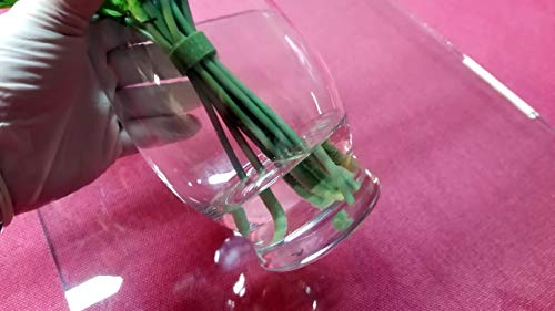 Max Tcr Rupturepak -Epoxy Resin For Floral Arrangements Creates Crystal Clear Water Simulation -Reduce Glass Vase Breakage -No Measuring Mix & Pour Packaging 3 6-Fluid Oz Kits -See Description Below #TOP5