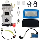 PB-9010T Carburetor & Ignition Coil for Echo PB-8010 PB-8010T PB8010 PB8010H PB-9010 PB9010 PB-9010H Shindaiwa EB810 EB810RT EB910 EB910RT Leaf Blowers Replacement A021004920