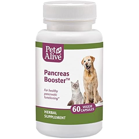 PetAlive Pancreas Booster - All Natural Herbal Supplement for Pancreatic Health and Digestive Functioning in Cats and Dogs - Supports Healthy Insulin Production - 60 Veggie Caps Cover