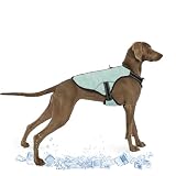 Kühlweste für Große Hunde, Hunde Kühlmantel Einstellbare Kühlung Hund Jacke Saugfähige & kühle Hundeweste für Sport heißes Wetter Sommer Dog Cooling Vest Coat(Grün, XL)