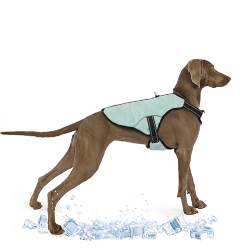 Kühlweste für Große Hunde, Hunde Kühlmantel Einstellbare Kühlung Hund Jacke Saugfähige & kühle Hundeweste für Sport heißes Wetter Sommer Dog Cooling Vest Coat(Grün, XL)