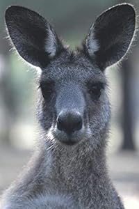 Känguru Notizbuch: / Tagebuch mit Känguru Motiv | 120 Seiten in Taschenbuchgröße