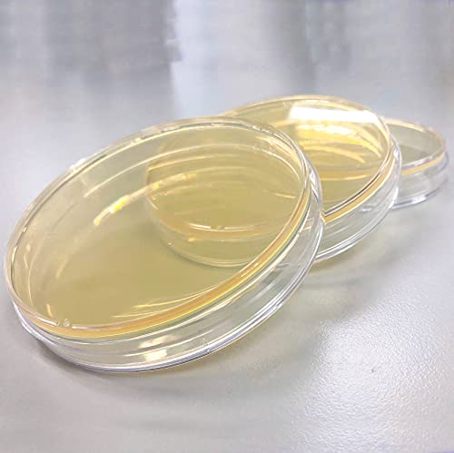 LB Agar Plates - Evviva Sciences - Prepoured Luria-Bertani Agar (LB) Petri Dishes - General Purpose Media - Top Science Kit for Science Fair Projects! - Thumbnail 2