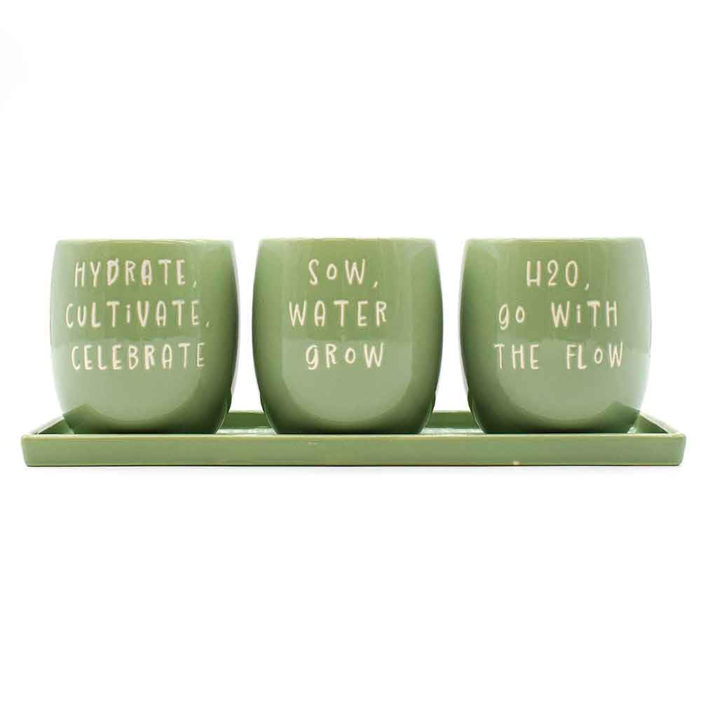 Upper Street Green Kitchen Herb Planter Set Of 3 With Tray | Motivational Slogan Design | Ceramic | Indoor Outdoor | Herb Pot | Housewarming Gift