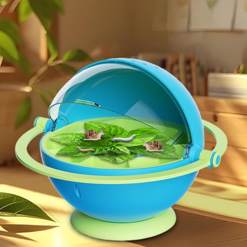 Boîte à éclosion transparente avec aération pour ver à soie