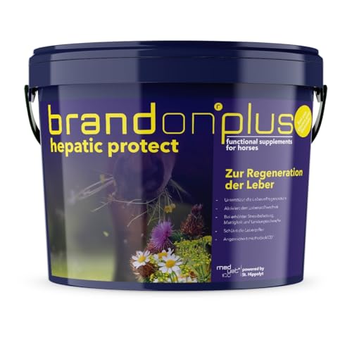 Brandon XL 25 Kg - Mangime Complementare Per Cavalli Con Problemi Di Salute - 3