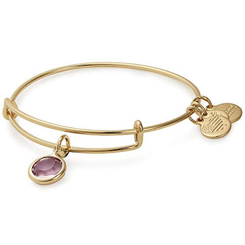 Alex and Ani Women's Swarovski Color Code Bangle June Light Amethyst Bracelet, Shiny Gold