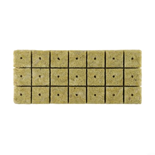 Grodan, cubetti di lana di roccia senza suolo per coltivare piante e giardinaggio, leggeri e porosi, 25 mm, 30 mm, 40 mm (40 x 40 x 40 mm)