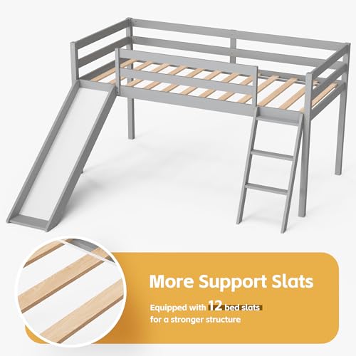 TOLEAD Low Loft Bed with Slide, Wood Twin Loft Bed Frame with Climbing Ladder & Storage Space for Kids Toddler (Grey)