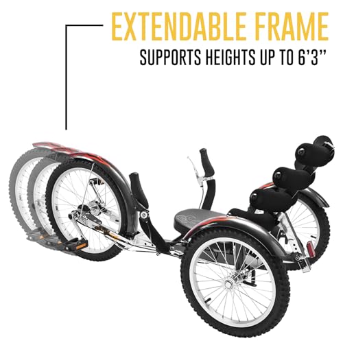 Mobo Cruiser Shift 3-Wheel Recumbent Bicycle Trike. Reversible Adult Tricycle Bike, black, 20-Inch
