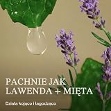 Paul Mitchell Tea Tree Lavender Mint Moisturizing Conditioner – odżywka nawilżająca do suchych, zniszczonych włosów, koj