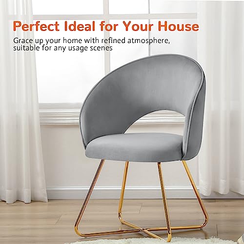 Furniliving Accent Chair Armchair Mid-Century Modern Chair For Living Room Sofa Side Chair Lounge Chair For Bedroom Upholstered Vanity Chair With Gold Legs 1Pcs (Lightgrey) #TOP5