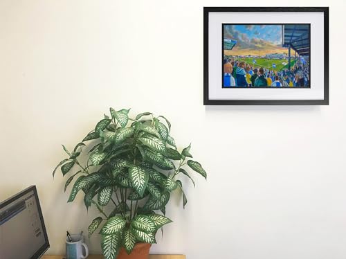 Póster A4 de Memorial Stadium: decora tu oficina con el Bristol Rovers FC