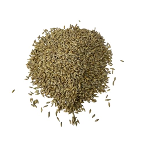 Ernst Grain & Livestock Non‑GMO Whole Barley Seeds & Feeds – Premium Feed‑Grade Grain for Livestock, Poultry & Small Animals – 10 lb (160 oz) Portable Bag – Pure, Unprocessed, Nutrient‑Rich