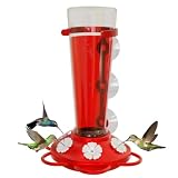 Large Leak Proof Window Hummingbird Feeders for Outdoors Hanging - Wasp and Bee Proof - Window Hummingbird Feeder for Outdoor - Window Mount