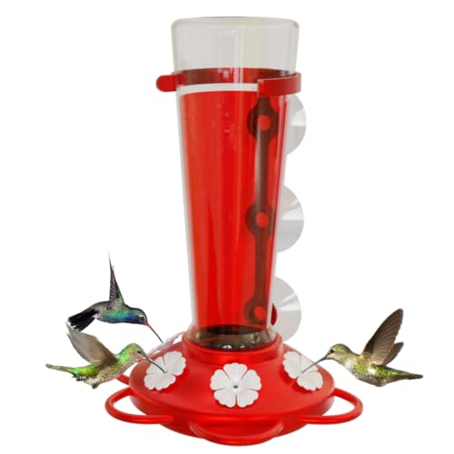 Window Hummingbird Feeder, Suction Cup, Hummingbird Feeders ...