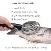 Stainless Steel Fish Scaler Heavy Duty Scale Remover with 4 Spring Steel Rings, Manual Seafood Cleaning Tool for Kitchen, Fishing & Seafood Preparation
