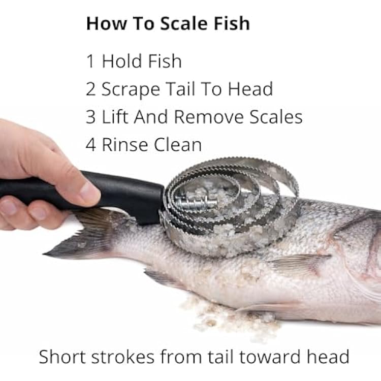 Stainless Steel Fish Scaler Heavy Duty Scale Remover with 4 Spring Steel Rings, Manual Seafood Cleaning Tool for Kitchen, Fishing & Seafood Preparation