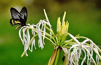 Hardcover Eternal Reflections Book