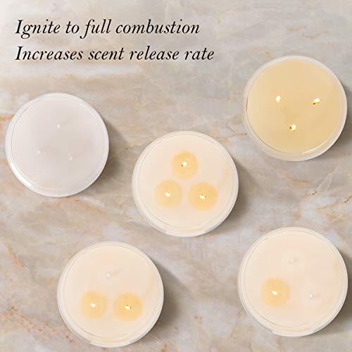Talent Fareast Red Rose Highly Scented Candle For Home 16 Oz Aromatherapy Candles Enhanced Aroma Luxury Gift Natural Soy Wax 40 Hour Long Lasting Premium Fragrance Glass Candle Relaxing #TOP4