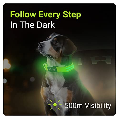 Tractive Led Light Up Dog Collar Usb Rechargeable Waterproof (Green) #TOP1