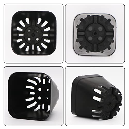 2.5 Inch Plastic Plant Nursery Pots 100 Pcs Seedlings Flower Plant Container Black Seed Starting Pots For Succulents Plants Vegetables Fruits Seedlings Transplanting #TOP3