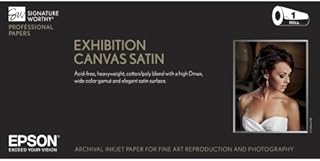 Exhibition Canvas Satin 60" x