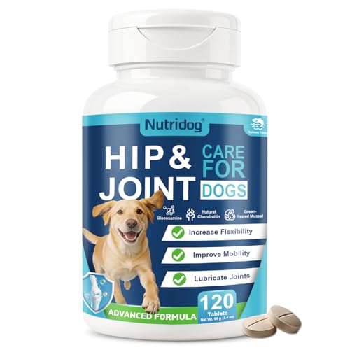 Nutridog Hip and Joint Health Supplement for Dogs - Joint Pain Relief Chews for Senior Dogs - Hip & Joint Chews with Glucosamine, Chondroitin, and Omega-3 - for All Breeds - Salmon - 120 Ct