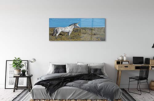 Impression sur verre acrylique 125x50cm image murale decorative salon chambre licorne