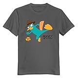 phineas ferb personajes colorful Men\'s Perry The Platypus Phineas And Ferb O Neck Online T-Shirt Medium