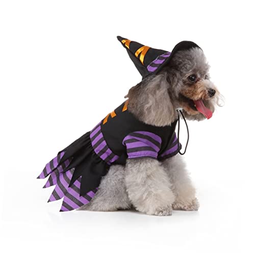 Disfraz Halloween Bruja para Perros Talla M miniatura 5