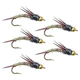 Yiju 5Pcs Fly Stonefly Baits Lifelike with Hook Fishing Jig, Artificial Hard Jig for Salmon, Pike River Perch Catfish