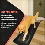 BITUXX® Hunderampe Hunde Einstiegshilfe Autorampe