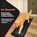 BITUXX® Hunderampe Hunde Einstiegshilfe Autorampe